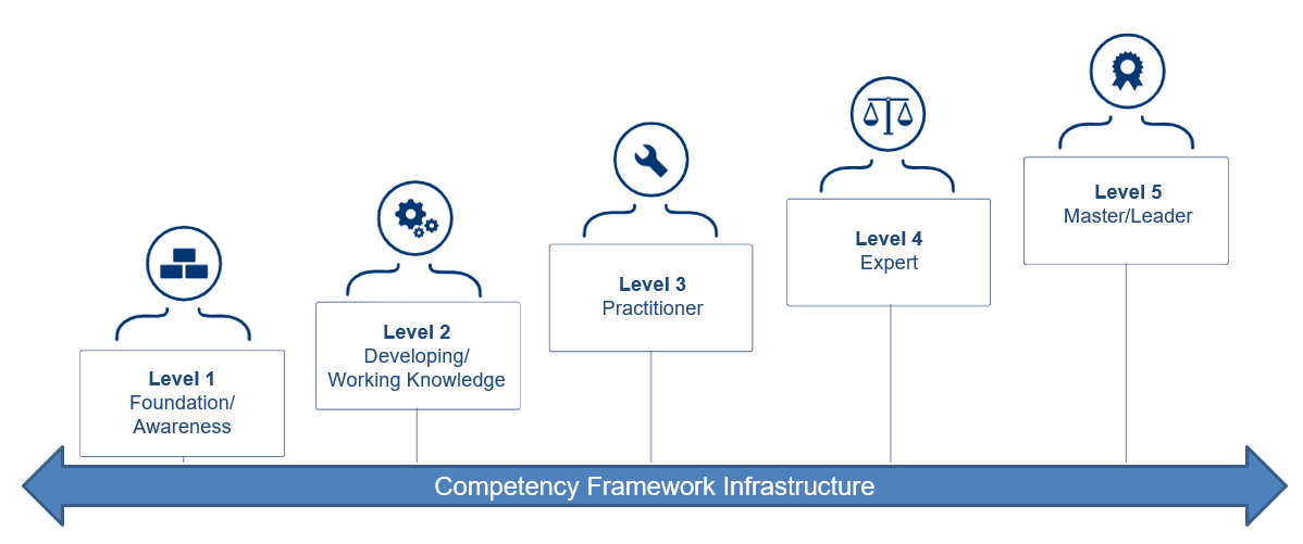 Competency Levels Framework